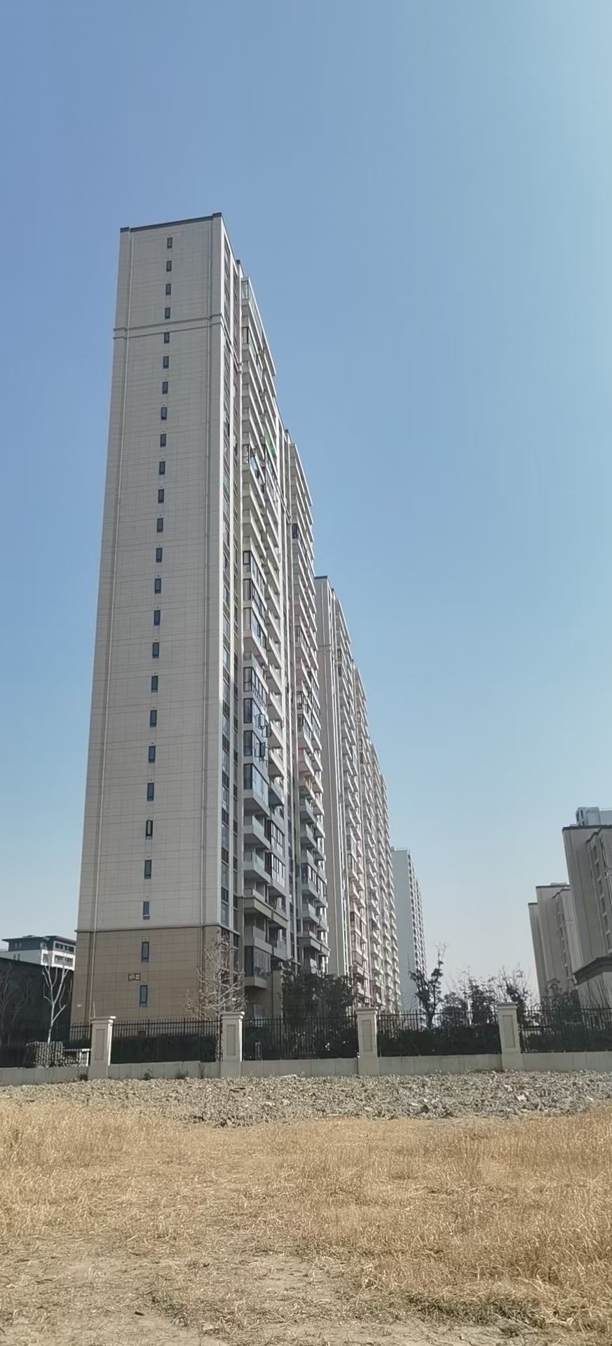 碧桂园梧桐府房源
